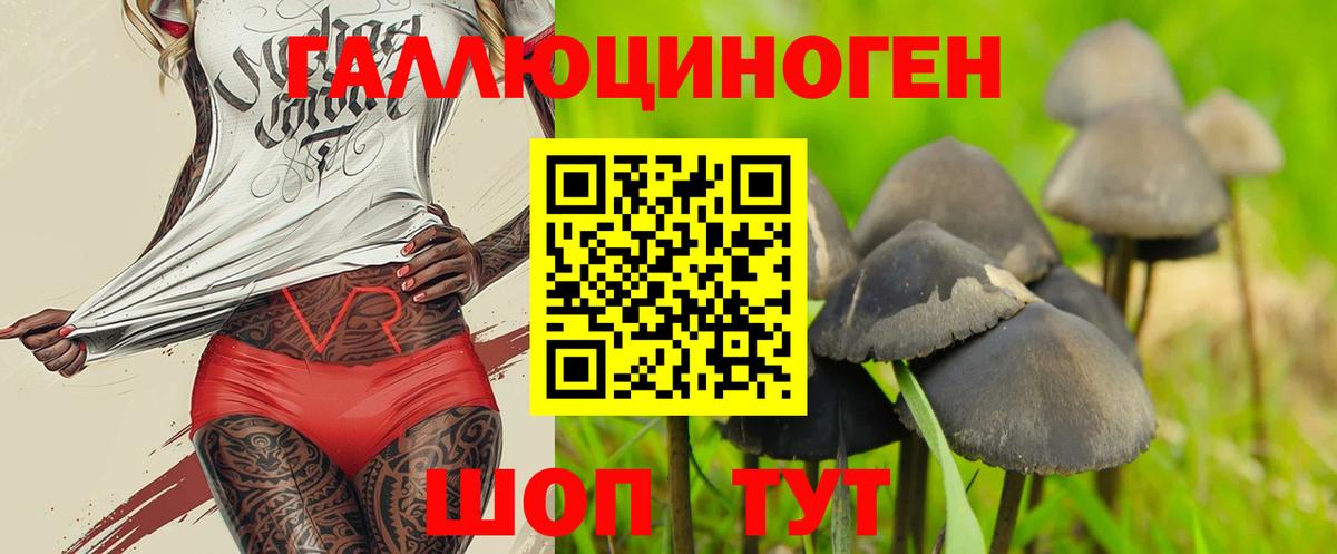 Галлюциногенные грибы Cubensis  Вход с VPN  Обь 