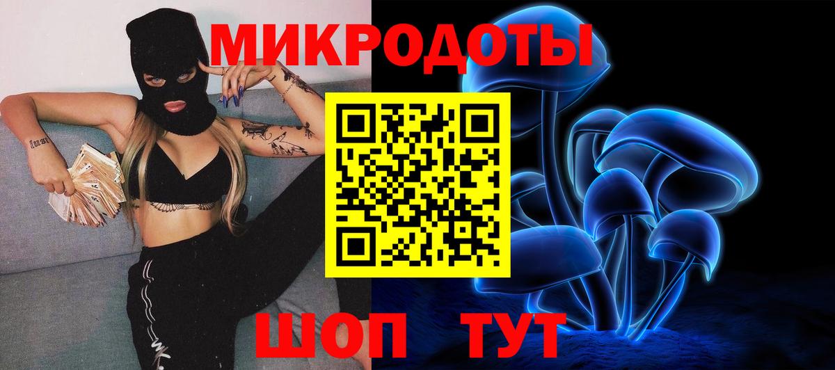 Псилоцибиновые грибы Cubensis Обь