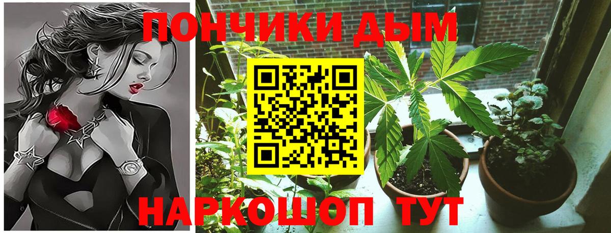 Бошки марихуана Amnesia  Вход с VPN  Канабис Bruce Banner  Марихуана Amnesia  Обь 